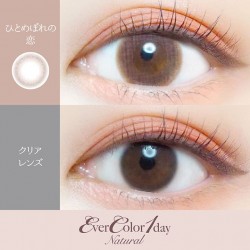 EVER COLOR 1DAY NATURAL NEW COLOR (20片)